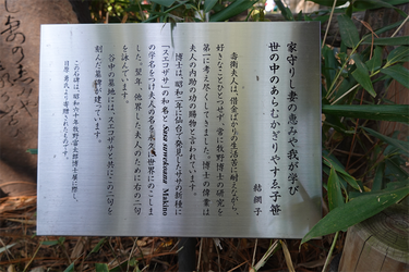 DSC03415_R