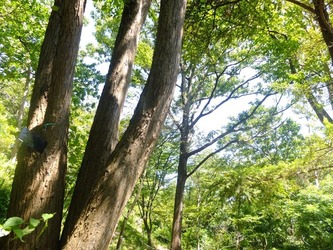DSCF1450_R