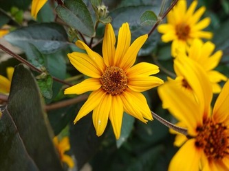 DSC01165_R