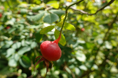 DSC09057_R