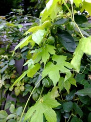DSCF6178_R