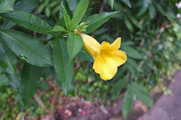 DSCF4288_R