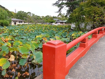 DSCF8771_R