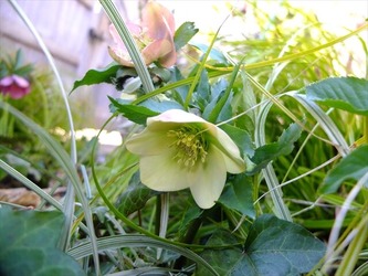 DSCF8549_R