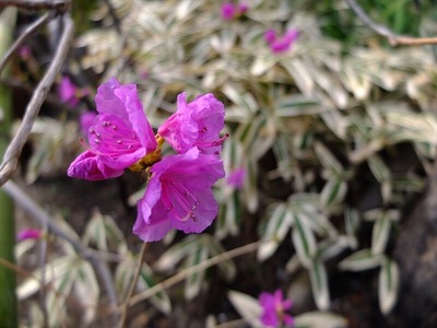 DSCF1165_R