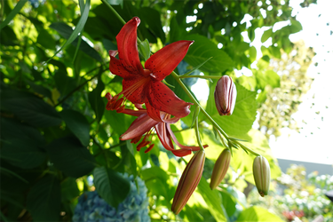 DSC08491_R