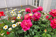 DSCF1937_R