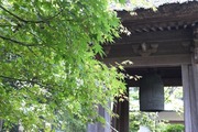 DSCF5347_R