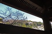 DSCF2029_R