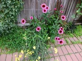 DSCF2740_R