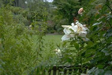 DSC08538_R