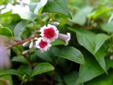 DSCF2607_R