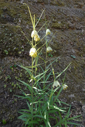 DSC06236_R