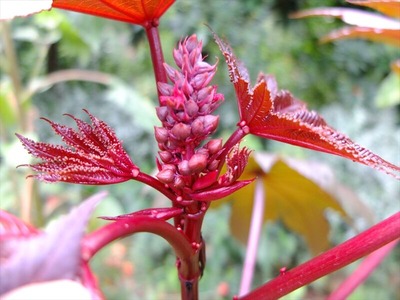 DSCF4757_R