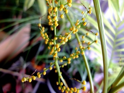 DSCF1302_R