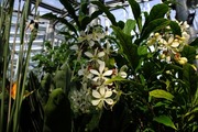 DSCF9070_R