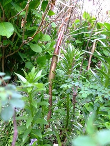 DSCF2258_R