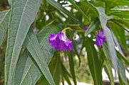 DSCF4860_R