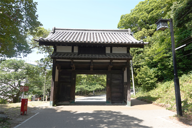 DSC08008_R