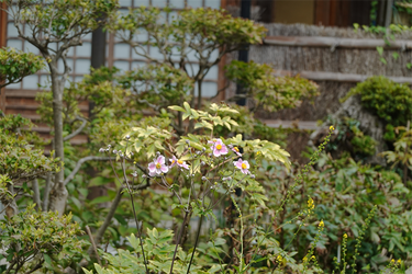 DSC09082_R
