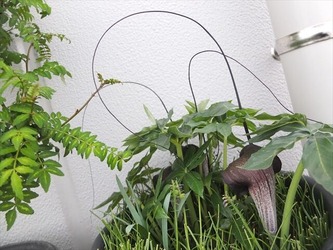 DSCF9436_R