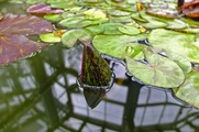DSCF2701_R