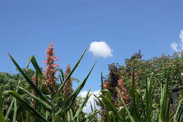 DSC08994_R