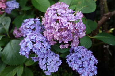 DSC08430_R