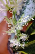 DSCF5157_R