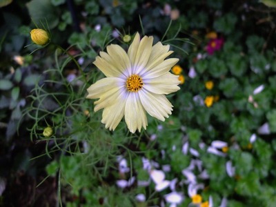 DSCF5600_R