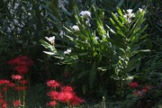 DSCF5862_R