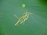 DSCF2683_R