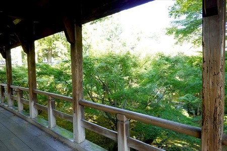 DSC02510_R