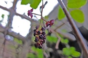DSCF2403_R