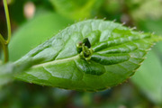 DSCF1234_R
