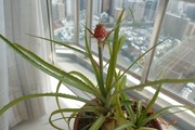 DSCF2323_R