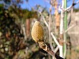 DSCF5494_R
