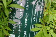 DSCF4044_R
