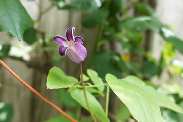 DSC08764_R
