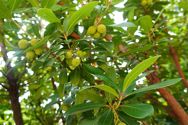 DSC08828_R