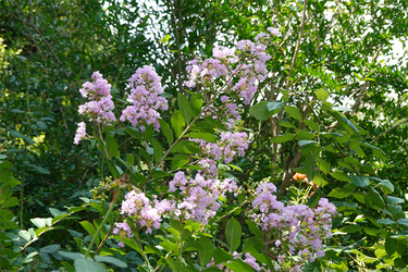 DSC08864_R
