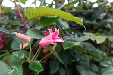 DSC08621_R