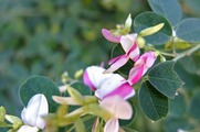DSCF5456_R