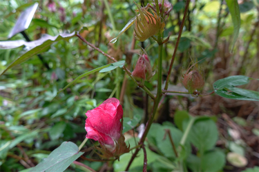 DSC07337_R