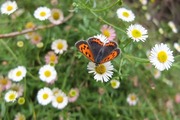 DSCF3048_R