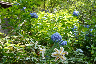 DSC03109_R