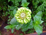 DSCF2442_R