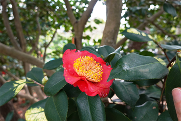 DSC06048_R