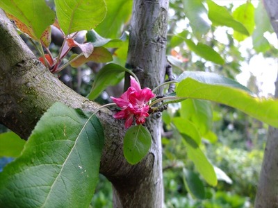 DSCF5411_R