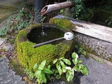 DSCF3501_R